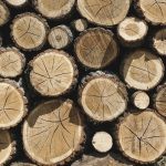 Canfor acquires El Dorado lumber facility for $73 million